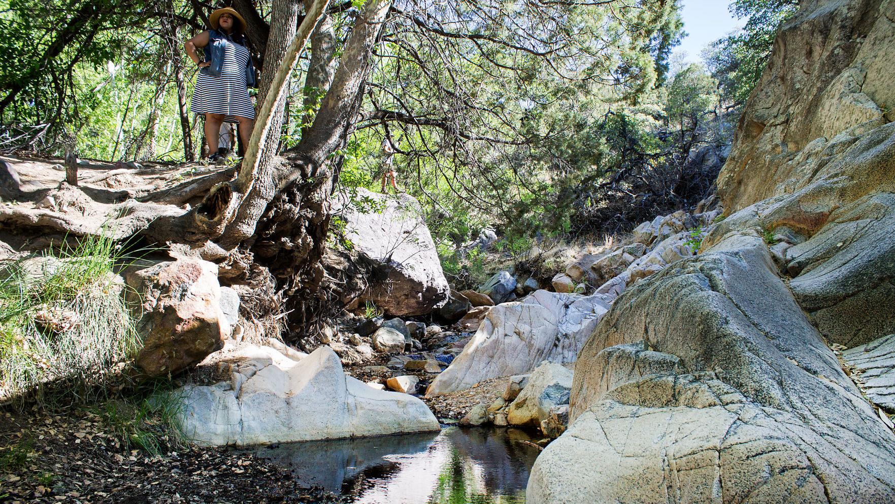 Spend the perfect summer day in Madera Canyon